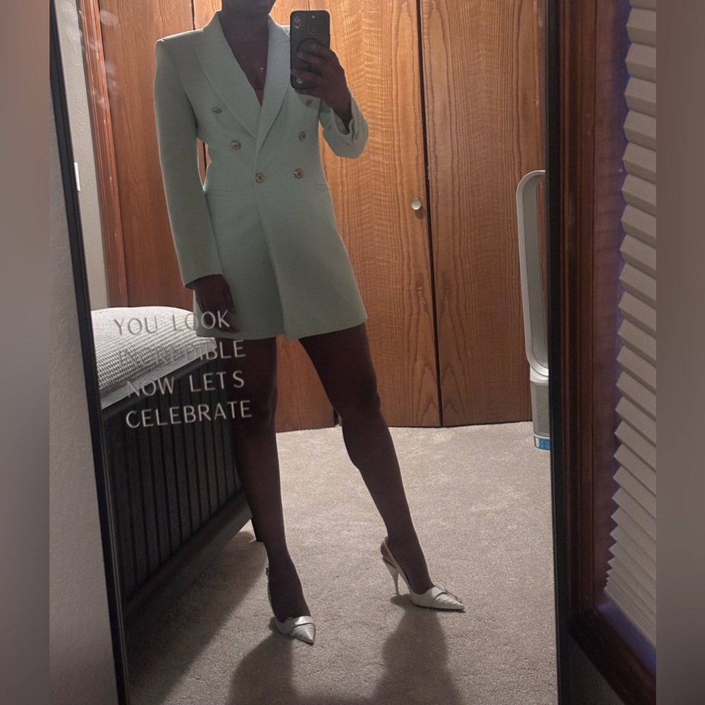 Zara Mint  Green Double-Breasted Dress